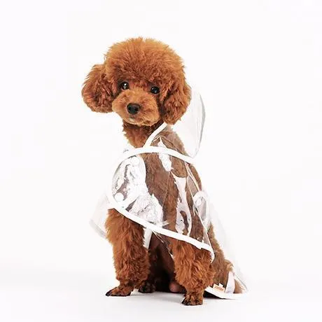 Transparent Dog Raincoat